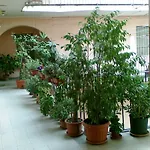 Casa Roma Libera Trastevere